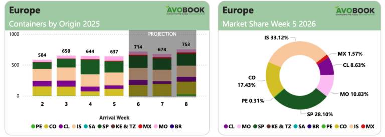 Europe avocado market